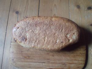 "A loaf of bread with the underside visible"
